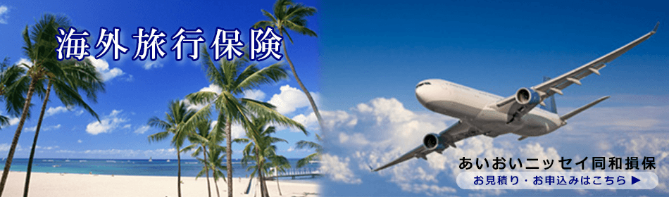 あいおいニッセイ同和損保